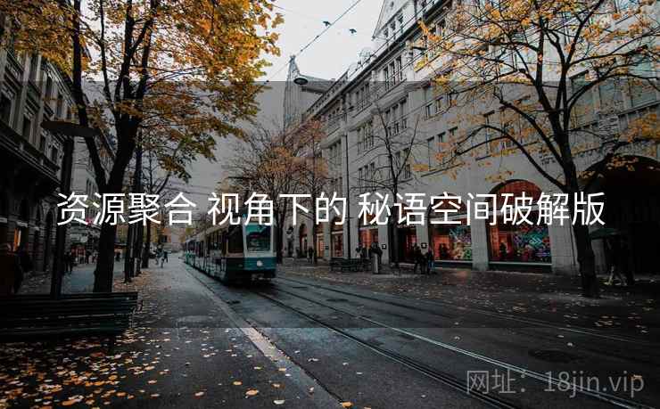 资源聚合 视角下的 秘语空间破解版