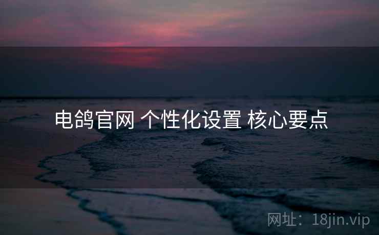电鸽官网 个性化设置 核心要点