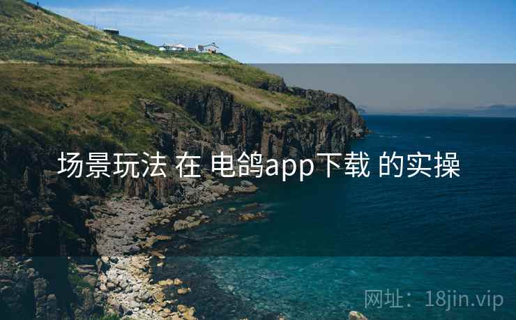 场景玩法 在 电鸽app下载 的实操