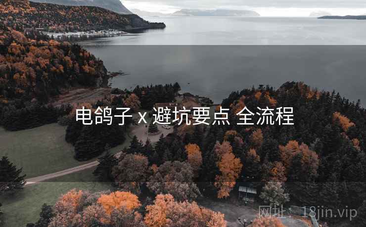 电鸽子 x 避坑要点 全流程