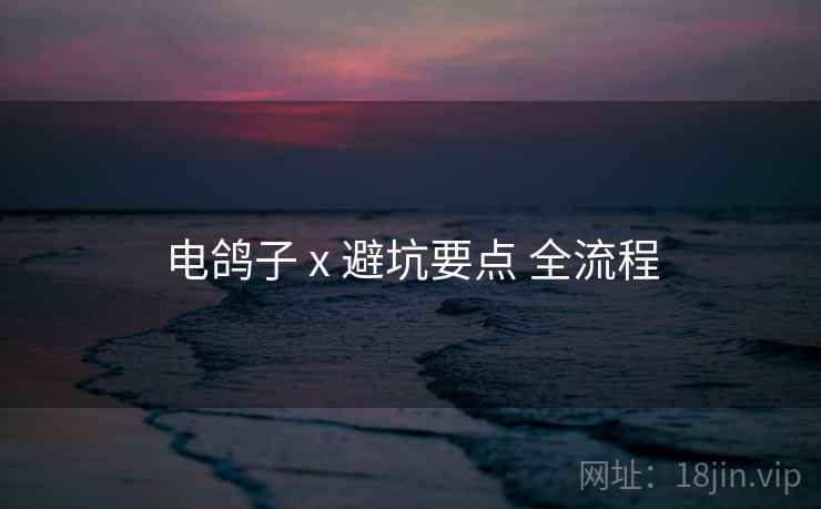 电鸽子 x 避坑要点 全流程