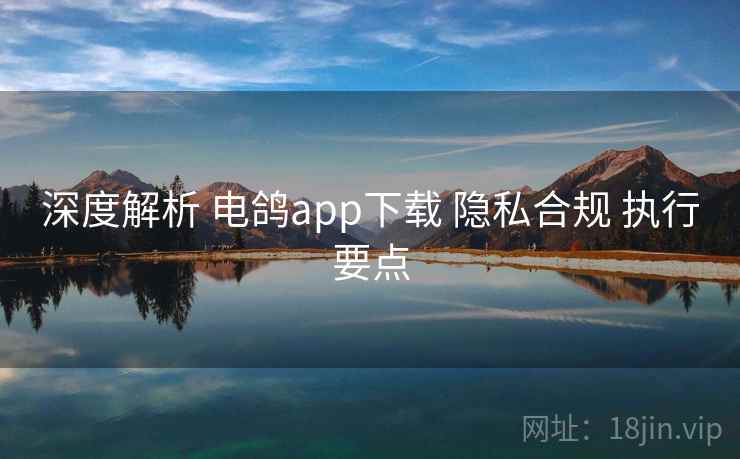 深度解析 电鸽app下载 隐私合规 执行要点