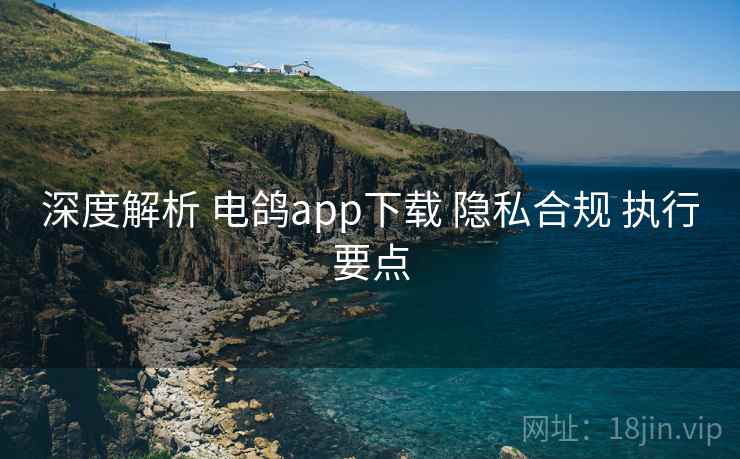 深度解析 电鸽app下载 隐私合规 执行要点
