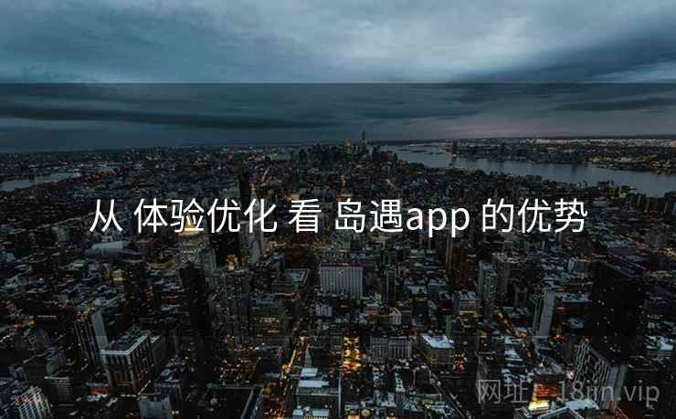 从 体验优化 看 岛遇app 的优势