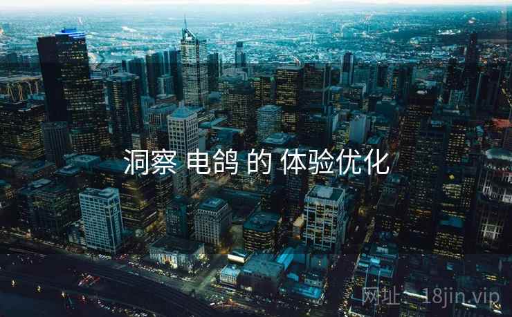 洞察 电鸽 的 体验优化
