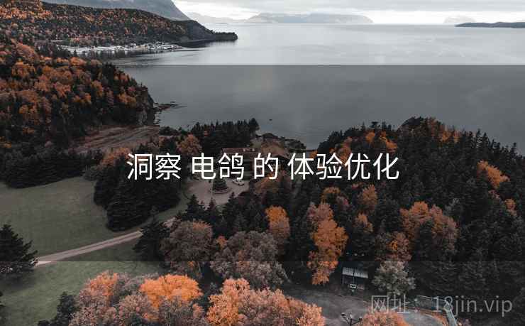 洞察 电鸽 的 体验优化