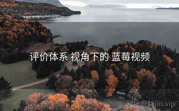 评价体系 视角下的 蓝莓视频