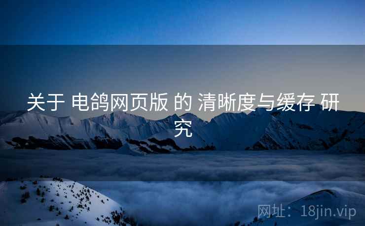 关于 电鸽网页版 的 清晰度与缓存 研究