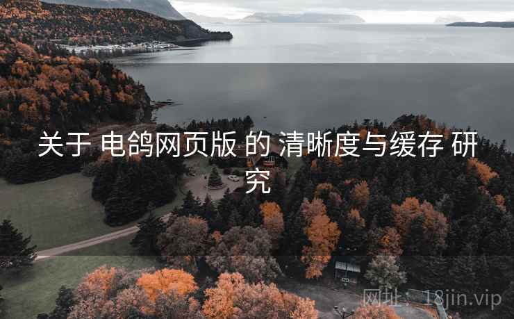 关于 电鸽网页版 的 清晰度与缓存 研究