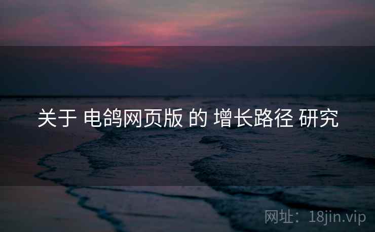 关于 电鸽网页版 的 增长路径 研究