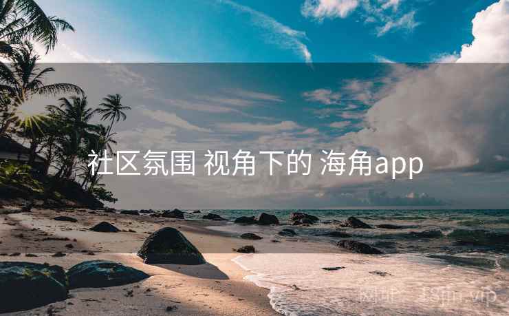 社区氛围 视角下的 海角app