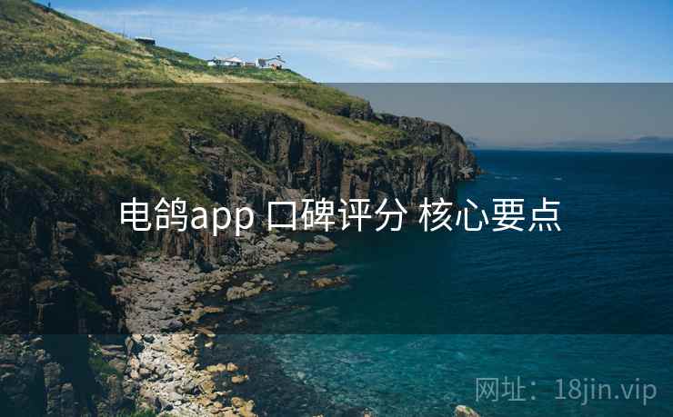 电鸽app 口碑评分 核心要点