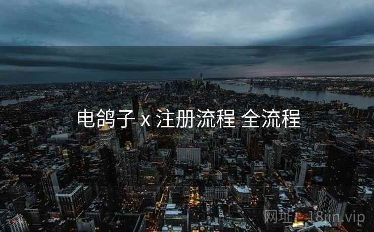 电鸽子 x 注册流程 全流程