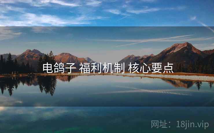 电鸽子 福利机制 核心要点